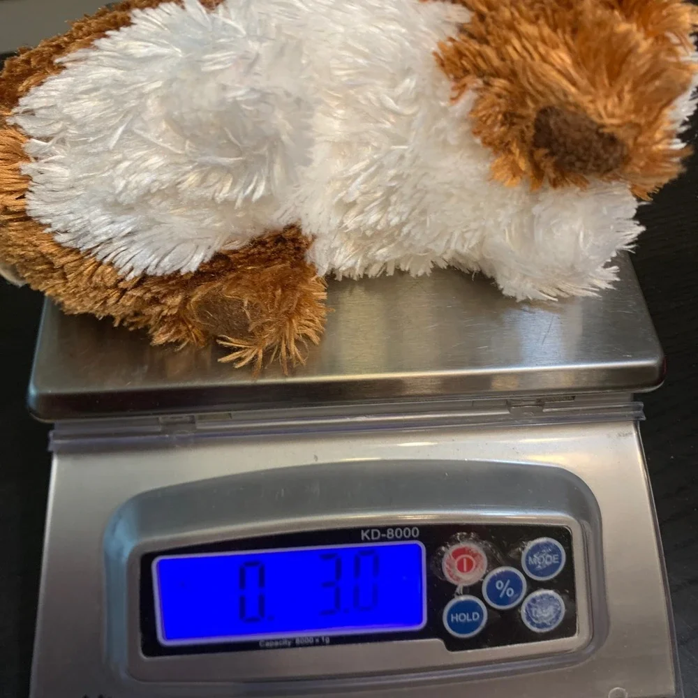 Douglas Cuddle Toy Guinea Pig Plush Brown White Stuffed Animal Small Realistic